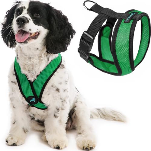 Gooby Comfort X Head In Harness,No Pull Small Dog Harness Patentierter Würgefreier X-Rahmen,Unterwegs Hundegeschirr für mittelgroße Hunde Kein Ziehen oder Kleine Hunde für Innen und Außen von GOOBY