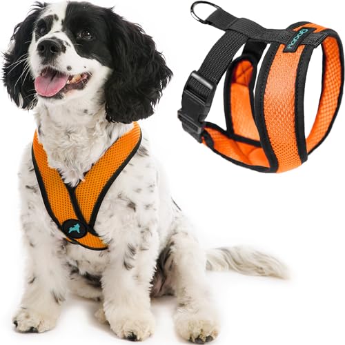 Gooby Comfort X Head in Harness,Orange, X-Large,No Pull Small Dog Harness,Patentierter Würgefreier X Frame,On The Go Hundegeschirr für mittelgroße Hunde No Pull, Kleine Hunde für Innen und Außen von GOOBY