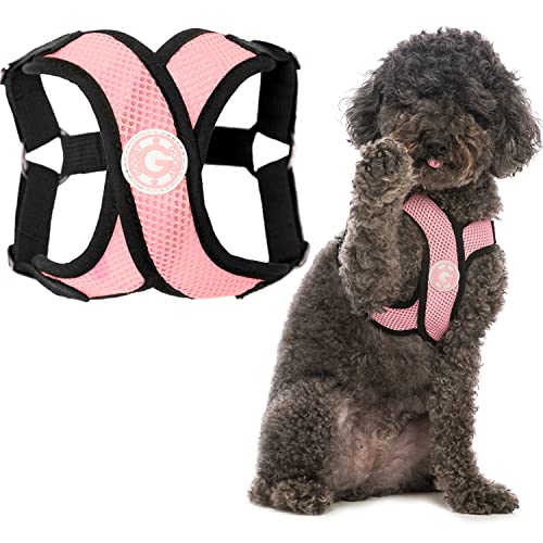 Gooby - Comfort X Step-In Hundegeschirr, erstickungsfrei, kleines Hundegeschirr mit Mikro-Wildlederbesatz und patentiertem X-Rahmen, Pink, Größe XL von GOOBY