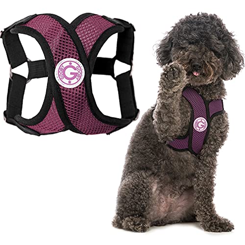 Gooby - Comfort X Step-In Hundegeschirr, erstickungsfrei, kleines Hundegeschirr mit Mikro-Wildlederbesatz und patentiertem X-Rahmen, lila, X-Large von GOOBY