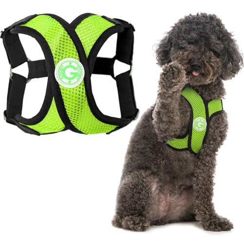 Gooby - Comfort X Step-in Harness, Choke Free Small Dog Harness with Micro Suede Trimming and Patented X Frame, Green, Large von Gooby