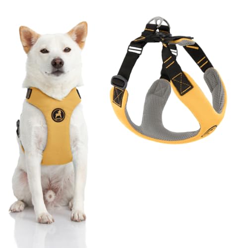 Gooby Convertible Z Harness - Kratzfestes Outdoor Geschirr mit Stoßdämpfung - Ergonomisches Geschirr für kleine oder mittelgroße Hunde von GOOBY