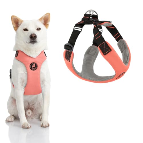 Gooby Convertible Z Harness - Kratzfestes Outdoor Geschirr mit Stoßdämpfung - Ergonomisches Geschirr für kleine oder mittelgroße Hunde von GOOBY