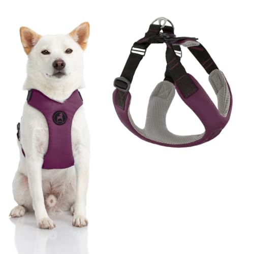 Gooby Convertible Z Harness - Kratzfestes Outdoor Geschirr mit Stoßdämpfung - Ergonomisches Geschirr für kleine oder mittelgroße Hunde von GOOBY