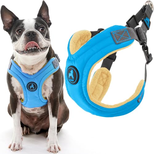 Gooby Escape Free Hundegeschirr aus Memory-Schaum, Größe M (38,1–52,1 cm), Blau von GOOBY