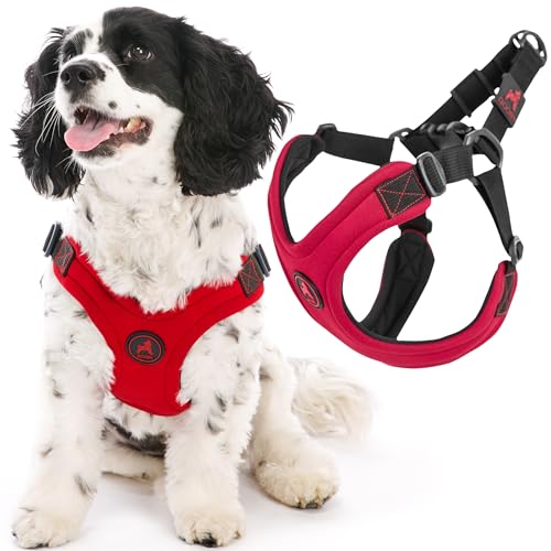 Gooby Escape Free Sport Harness - Rot, Größe M - Patentes, verstellbares Neopren-Geschirr für kleine und mittelgroße Hunde, kein Würgen, ideal für den Alltag ohne Ziehen von GOOBY