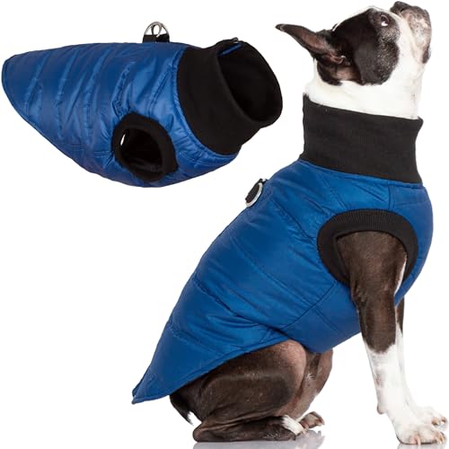 Gooby G21 Bomber-Hundejacke – Blau, Größe M – Winter, wasserdicht, mit Reißverschluss, Hundepullover für kleine Hunde bis mittelgroße Hunde, mit Doppel-D-Ring-Leine, warm, winddicht, für kleine Hunde von GOOBY