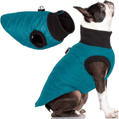 Gooby G21 Bomber Hundejacke - Türkis, X-Small - Winter Wasserdicht Zip Up Hundepullover für kleine Hunde mit Dual D Ring Leine - Winddichte Kleidung für kleine Hunde bis mittelgroße Hunde von GOOBY