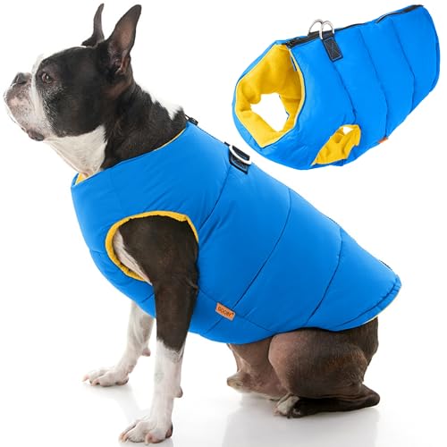 Gooby Gepolsterte Weste, Hundejacke, einfarbig, Blau, Größe M, warm, mit Reißverschluss, Fleece-Jacke mit Doppel-D-Ring-Leine, wasserabweisender Pullover für kleine Hunde und mittelgroße Hunde von GOOBY