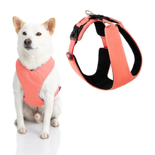 Gooby Lite Gear Z Geschirr - Kratzfest Ergonomisches Geschirr mit Stoßdämpfung - Head-In Geschirr für kleine oder mittelgroße Hunde von GOOBY