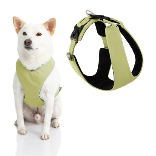 Gooby Lite Gear Z Geschirr - Kratzfest Ergonomisches Geschirr mit Stoßdämpfung - Head-In Geschirr für kleine oder mittelgroße Hunde von GOOBY