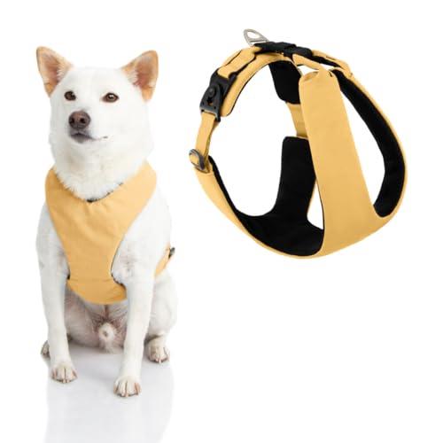 Gooby Lite Gear Z Geschirr – Kratzfestes ergonomisches Geschirr mit Stoßdämpfung – Head-in-Geschirr für kleine oder mittelgroße Hunde von GOOBY