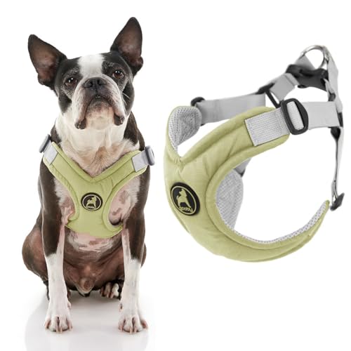 Gooby Memory Foam Step In Harness,Grün XS,No Pull Small,Patentierter Erstickungsfreier X-Rahmen,Perfekt für unterwegs Hundegeschirr für mittelgroße Hunde kein Ziehen oder kleine Hunde von GOOBY