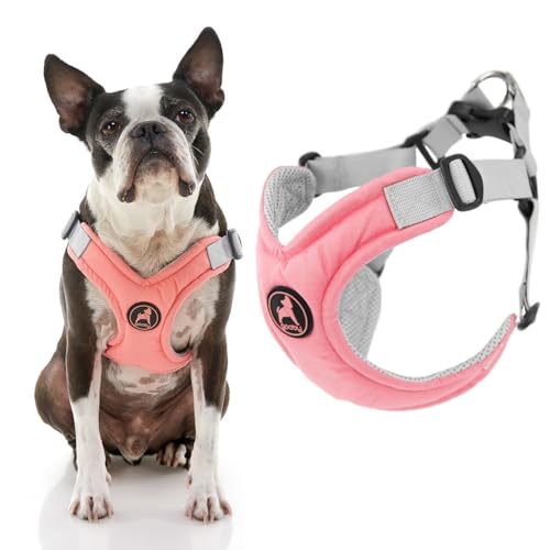 Gooby Memory Foam Step In Harness,Pink Small,No Pull Small Dog Harness,Patentierter Erstickungsfreier X Frame,Perfect On The Go Hundegeschirr für mittelgroße Hunde kein Ziehen oder kleine Hunde von GOOBY