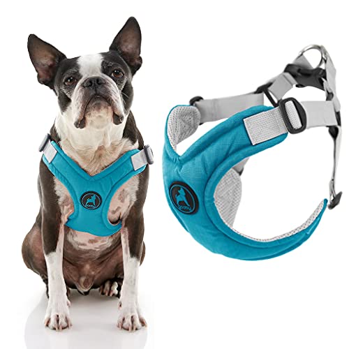 Gooby Memory Foam Step In Harness,Türkis, Medium,Perfektes Unterwegs Hundegeschirr für mittelgroße Hunde, kein Ziehen oder kleine Hunde von GOOBY