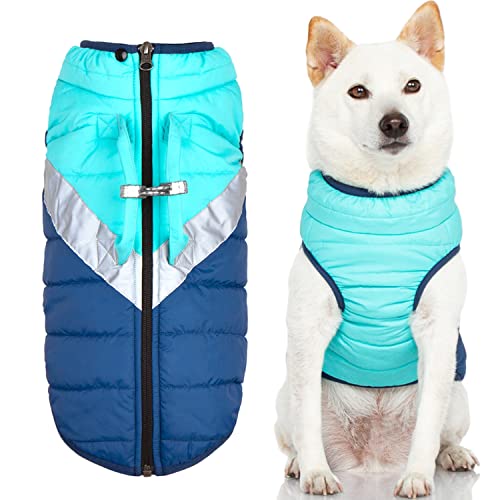 Gooby Mountaineer Hundejacke – Minze, Medium – Warmer Mantel mit Reißverschluss und Hebegriff und Dual-O-Ring-Leine – Winter-wasserabweisender kleiner Hundepullover – Hundekleidung für kleine Hunde von GOOBY