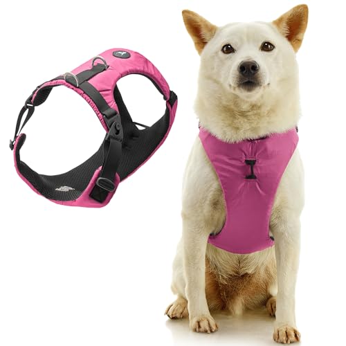 Gooby Trailblazer Hundegeschirr, stoßdämpfend, ohne Zug vorne und zwei Rückenclips für kleine Hunde und mittelgroße Hunde, Raspberry Rose, Größe XS von GOOBY