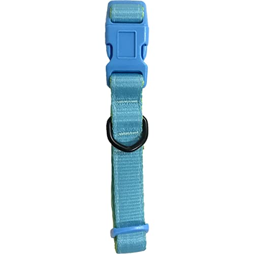 Fred&Rita Hundehalsband, Gelb und Blau, 2,5 x 45,7 - 66,04 cm, 1 Stück von GOOD4YOU