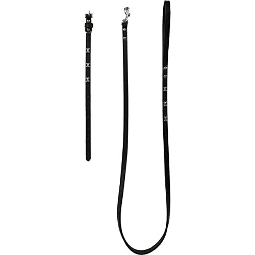 Fred&Rita Hundehalsband 51-61 cm + Leine 2,5 x 120 cm, Schwarz von GOOD4YOU