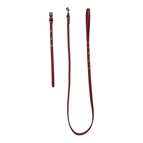 Fred&Rita Hundehalsband-Set, 41-51 cm + Leine 2 x 120 cm, Rot von GOOD4YOU