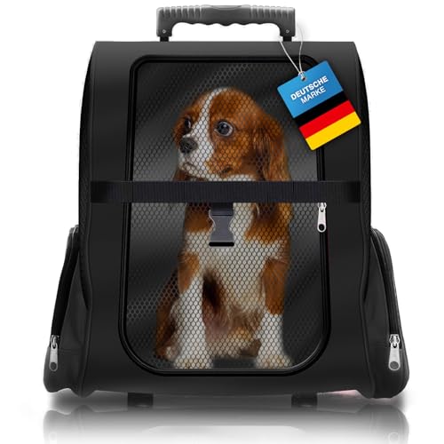 All Pets United Hunde-Trolley Kleintier Transportbox für Hunde und Katzen Tier-Trolley Haustier-Rucksack mit Teleskoparm (Hundetrolley Schwarz) von GOODS+GADGETS