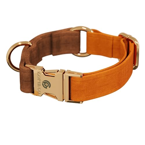 GOPAWGO Harlowe Premium-Hundehalsband mit Metallbeschlägen, handgefertigt und langlebig, verstellbar und weich für Welpen, Größe XS von GOPAWGO