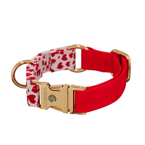 GOPAWGO Valentine Premium-Hundehalsband mit Metallbeschlägen, handgefertigt und langlebig, verstellbar und weich, für Welpen, Größe M von GOPAWGO