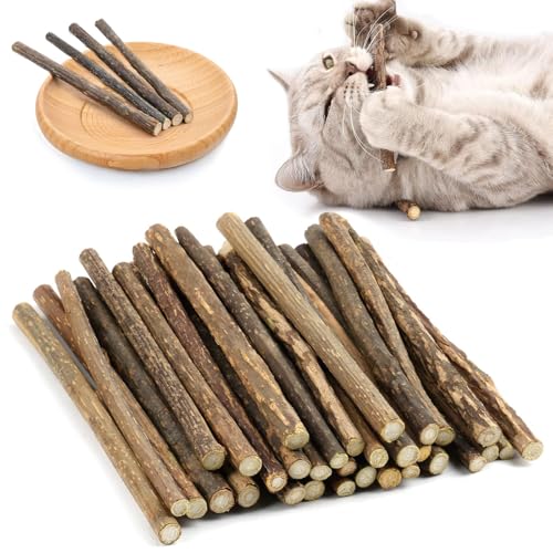 GOTDYBST 35stück Katzenminze Stick, Matatabi Stick Katze, Katzenminze Spielzeug - Natürlich Und Sicher, Kaustäbchen Für Katzen Zur Zahnpflege, Vorbeugung Von Mundgeruch Und Zähneknirschen von GOTDYBST