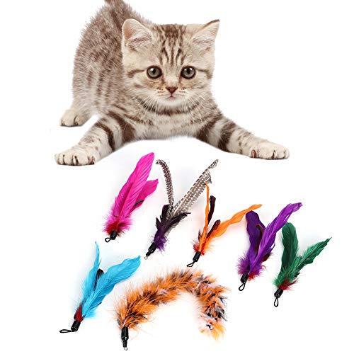 GOTOTOP 7 Stück Cat Toys Feather Refills Interaktives Federspinnzubehör Ersatz Cat Catcher Toy für Cat Kitten Toy Wands von GOTOTOP