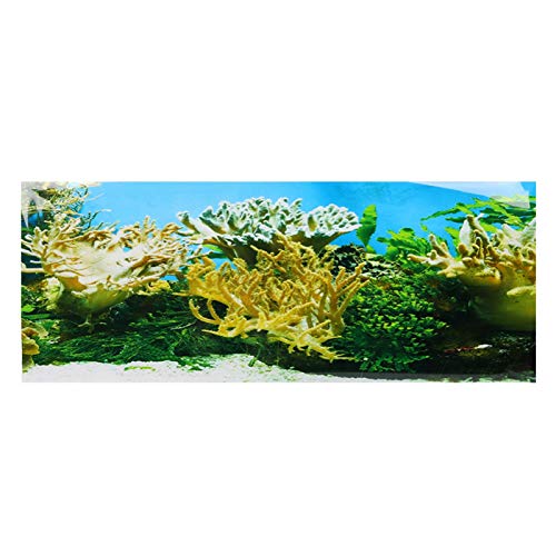 GOTOTOP Aquarium Poster,Wasserpflanzen Korallenmuster Aquarium Hintergrund Poster PVC Kleber Aufkleber Aquarium Wallpaper Dekoration(61 * 41cm) von GOTOTOP