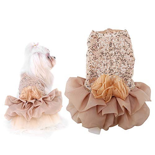 GOTOTOP Hundekleid, Haustier Hund Rock Welpe Katze Nette Pailletten Prinzessin Bubble Rock Hochzeitskostüm für kleine mittelgroße Hundekatze, Sommerkleidung(M-Gold) von GOTOTOP