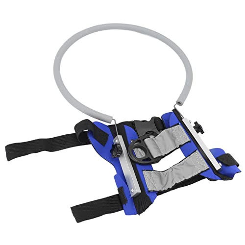 Haustier-Blind-Halo, Hunde-Blind-Haustier-Crash-Ring mit Reflektierender Wirkung, Blinder Hund, Katze, Kollisionsvermeidungsring, Blinder (M Durchmesser 33 cm (für 11–18 kg).) von GOTOTOP