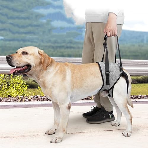 Hundehebegeschirr, Hundestützgeschirr für die Hinterbeine, weiche Hundestützschlaufe für verletzte behinderte kleine, mittlere und große Hunde, Treppenhilfe für Hunde von GOVNPJ