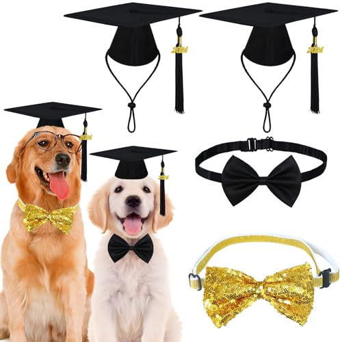 GOYOSWA Hundeabschluss-Outfit, Hundeabschlusskappe mit schwarzen Quasten, 2024er-Charm, schwarze Hundefliege, goldfarben, 4-teiliges Set (2 Abschlusskappen und 2 Fliegen) von GOYOSWA