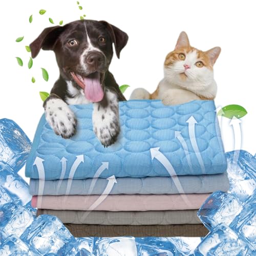 Kühlmatte für Hund Katzen Selbstkühlende Hundematte Sommer Kühlmatte Haustiere Hunde Waschbare Eisseidenunterlage rutschfeste Weiche Kühldecke Hunde(Gray,70 x 55cm) von GOZYLA