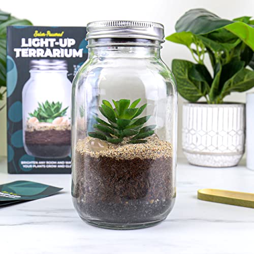 Gift Republic - Solarbetriebenes Terrarium von GR Gift Republic