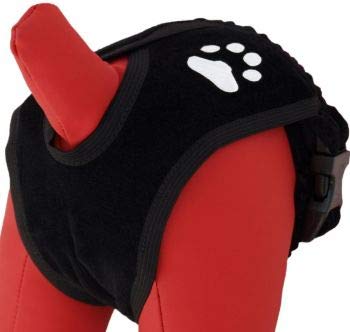 Grande Finale Hund Hose Schwarz Paw Größe 0 (20-30 Cm) 20 - 30 Cm von GRANDE FINALE