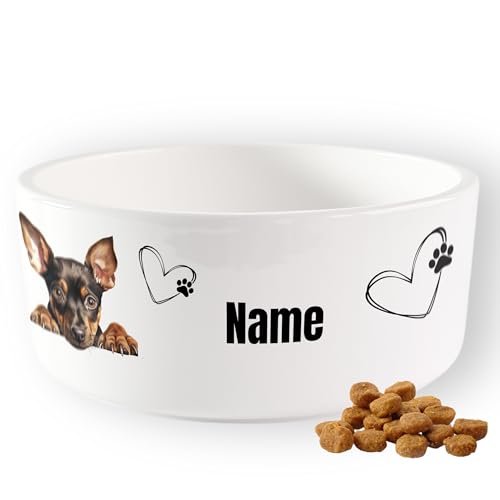 GRAZDesign Personalisierter Napf Hund mit Namen, Hundenapf 1l, Geschenk für Tierliebhaber von GRAZDesign