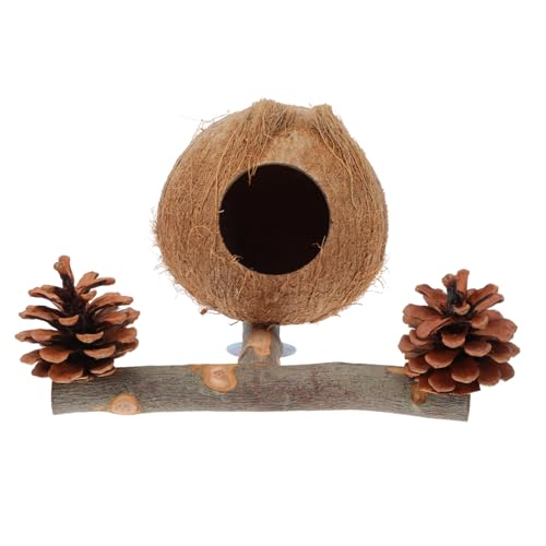 GREENADSCAPE 1 Satz Nestpfosten für Papageien holzspielzeug holzspielsachen Birdcage Natural Pine Cones Vogel Ruhestand Papageien-Stehstab aus Holz Papageien-Stützgestell Kokosnussschale Brown von GREENADSCAPE