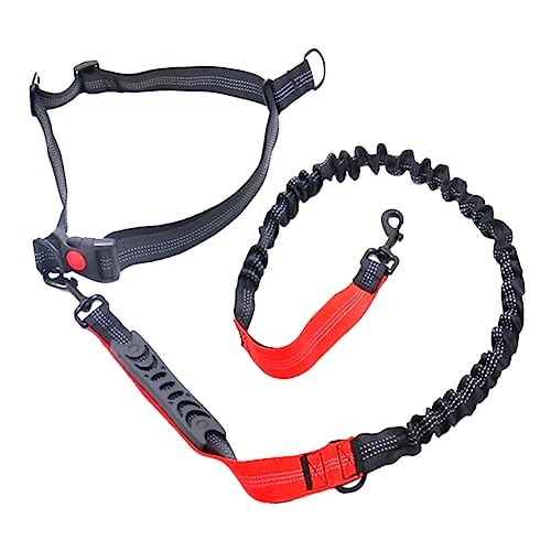 GREENADSCAPE 1 STK elastisches Laufseil Zugseil Haustiertraining Seil Leine Hundetraining führen Hundeleine führen Bungee-Leine für Haustiere Gürtel elastische hundeleine Dog Lead Hundeseil rot von GREENADSCAPE