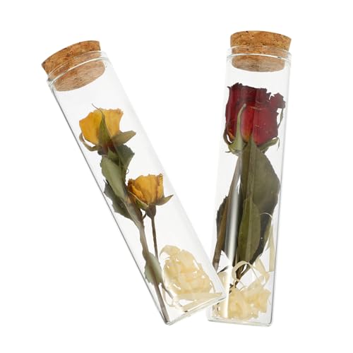 GREENADSCAPE 2 Stück Trockenblumen Glas Wunschflasche Transparente Behälterflaschen Kleine Behälter Mini Terrarium Wunschflasche Trockenblumen Trockenblumen Flasche Lipgloss Behälter von GREENADSCAPE