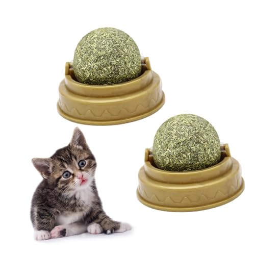 GREENADSCAPE 4 Stück Katzenbissball Katzensnacks Leckereien Für Katzen Katzenspielzeug Katzen Auf Katzenminze Katze Nipp Kätzchenspielzeug Katzenminze Wand Verdauungsförderer Für Katzen Green von GREENADSCAPE