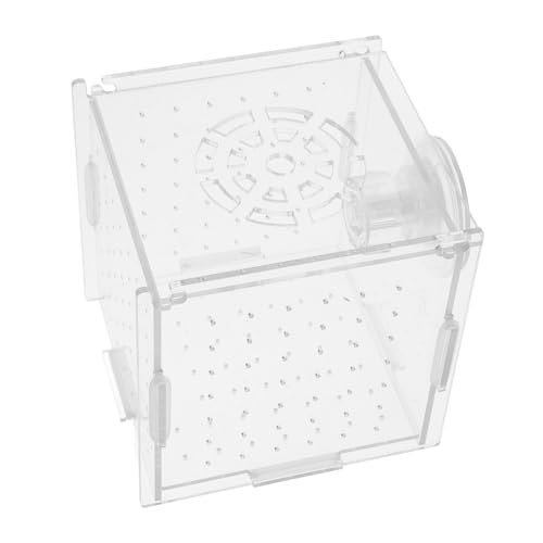 GREENADSCAPE Box Für Aquarien Isolationsbox Fischschale Fischnetz Zuchtnetz Für Aquarium Garnelenzucht Kleine Fische Doppelschicht Isolation Inkubator Aquarium Isolationsnetz Acryl von GREENADSCAPE