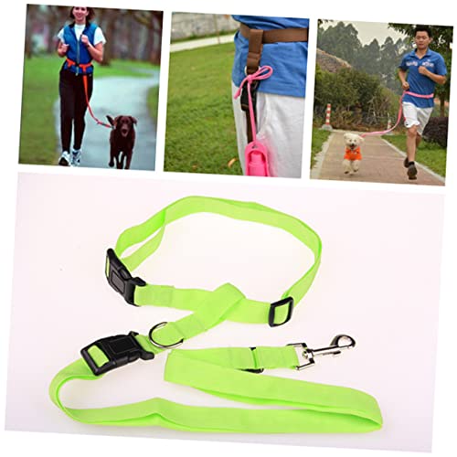 GREENADSCAPE Freihändige Hundejoggingleine Mit Bauchgurt Reflektierende Elastische Laufleine Für Hunde Ideal Zum Laufen Wandern Joggen Langlebig Und Sicher Grün von GREENADSCAPE