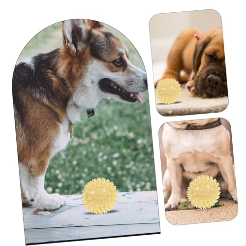 GREENADSCAPE Hunde Beißspielzeug Wurfball Spielzeug Lustiges Kauspielzeug Outdoor Ballspielzeug Haustier Hund Flugspielzeug Hundeball Spielzeug Hunde Flugplatten Welpenspielzeug von GREENADSCAPE