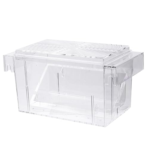 GREENADSCAPE Kasten Isoliertes Aufzuchtbecken Tumbler Inkubator Garnelen Inkubator Guppys Inkubator Aquarium Zuchtbecken Für Aquarien Betta Fisch Fischgärtnerei Für Aquarien Transparent von GREENADSCAPE