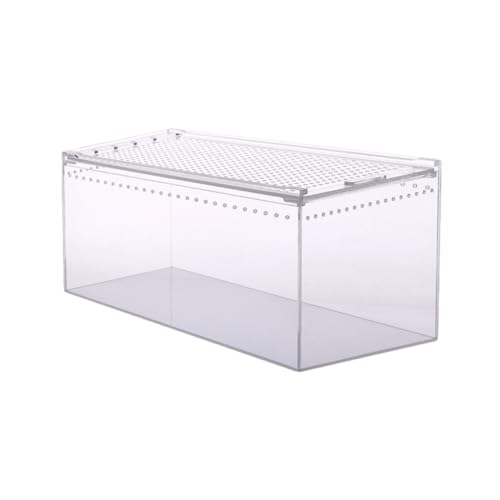 GREENADSCAPE Kasten Krabbelbox aus Acryl Gecko schrankaufhänger froschfresser großes Terrarium Schildkröte Aufbewahrungsnest für Reptilien Kletternder Futterbehälter für Haustiere Transparent von GREENADSCAPE