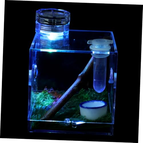 GREENADSCAPE Kasten Springspinnen-zuchtbox Bausatz Schneckenlebensraum Springender Spinnenkäfig Tarantel Haustierzaun Lebensraumkäfig Für Schnecken Spinnenträger Großes Terrarium Acryl von GREENADSCAPE