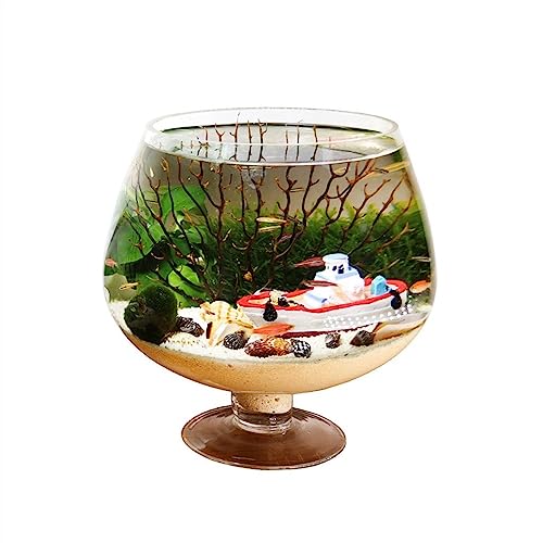 Aquarium Aquarium Kelchförmiges Aquarium Aquarium Desktop Ökologische Flasche Aquascape Kleines Aquarium Aquarium Klarglas Wasser for Haustiere Fischschalen für Goldfische (Size : L) von GRFIT