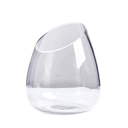 Fisch Tank Aquarium Verdicktes Transparentes Glas Aquarium Runde Schräge Öffnung Schildkröte Tank Kleines Wohnzimmer Haushalt Desktop Aquarium Fischschale (Size : M) von GRFIT